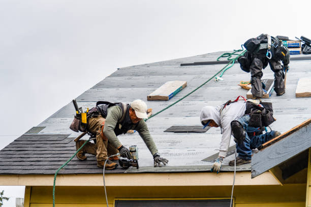 Professional Roofing technician working in Lowder, IL